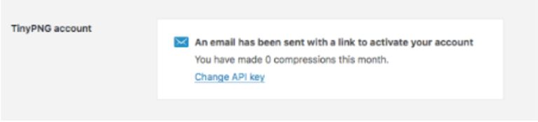 TinyPNG accountの設定のメール送信後の画面